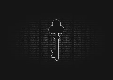 UUID vs GUID vs CUID vs NanoID: A guide to database primary keys